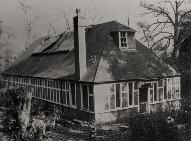 Tree damage to Jane Holloway Hall